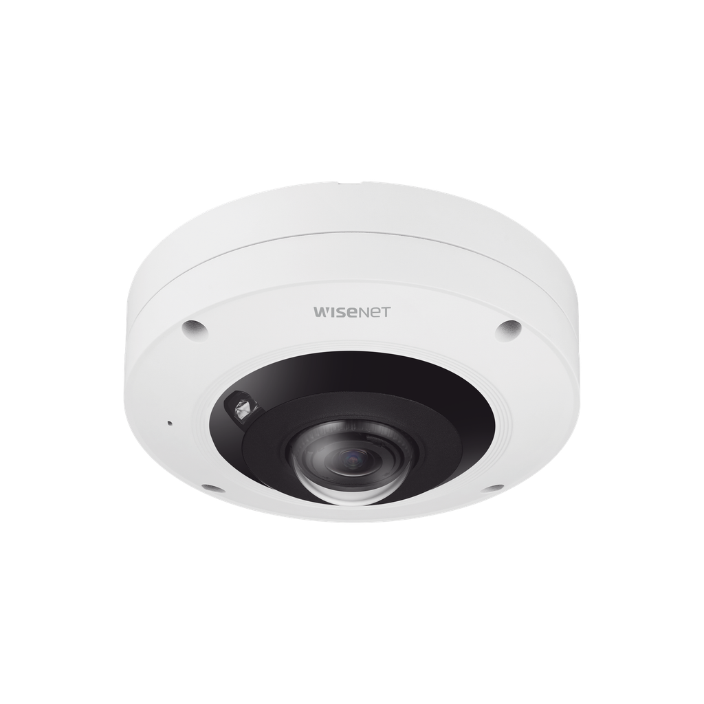 IA Fisheye IP 12 Megapixel / W