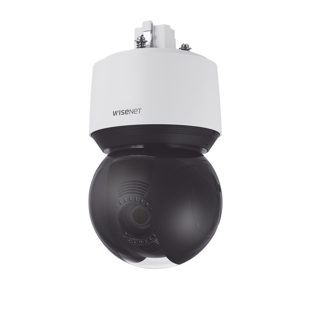Domo IP PTZ 2MP Antivandálico 