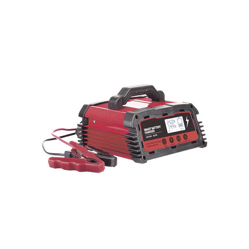 [CHR-250] Cargador de Baterías / 12 o 24